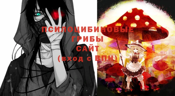 спиды Пролетарск