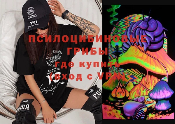 дмт Алзамай