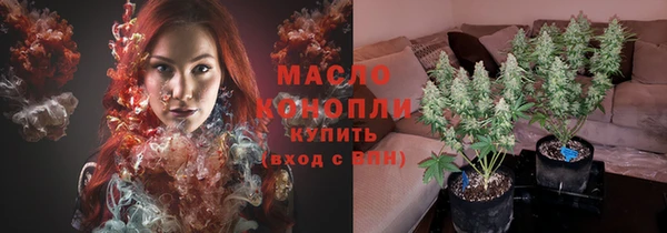 дмт Алзамай