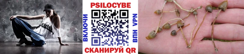 Псилоцибиновые грибы Psilocybine cubensis  Дедовск 